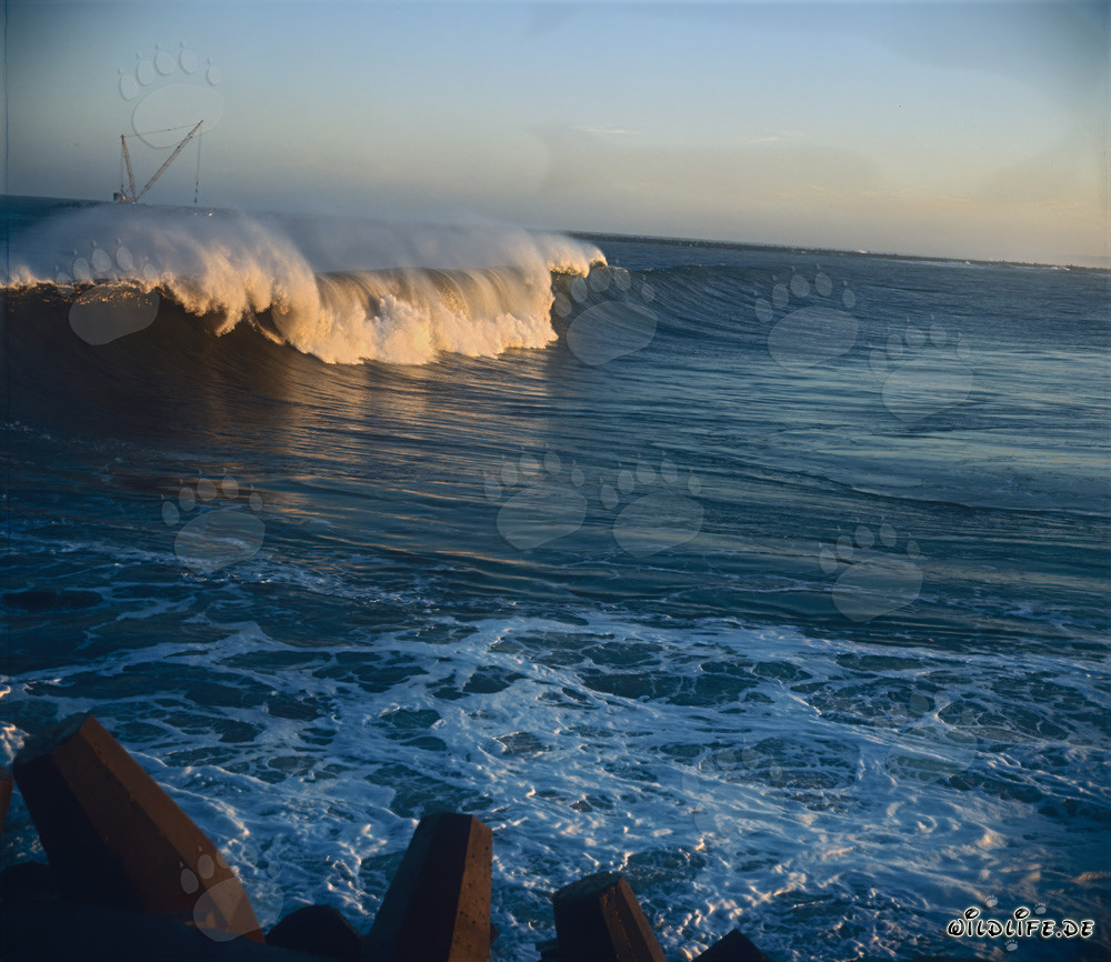 Olas peligrosas en el North Breakwater en Richards Bay