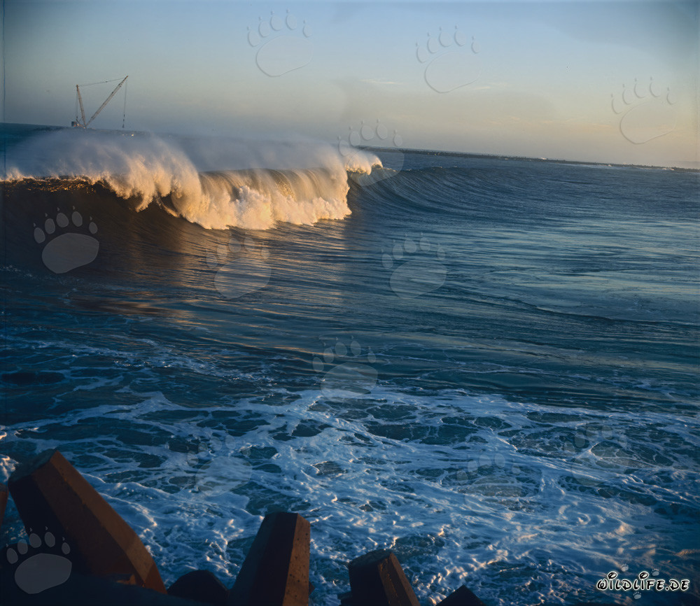 Onde pericolose al North Breakwater a Richards Bay