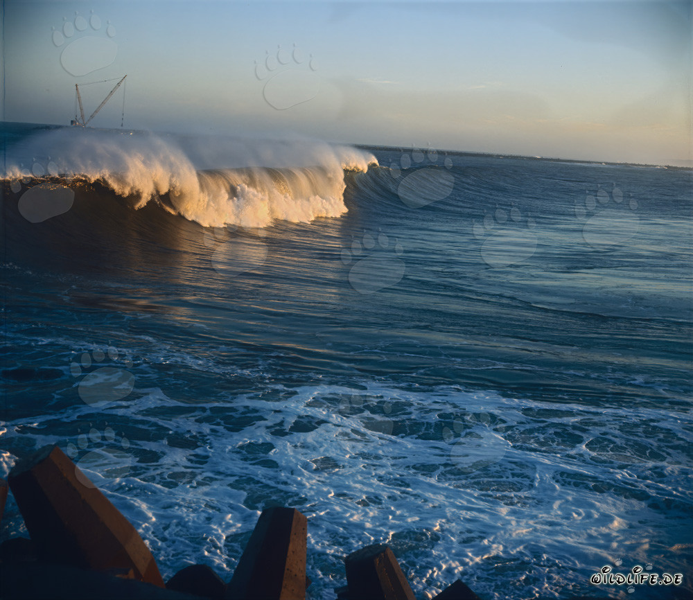 Vagues dangereuses au North Breakwater à Richards Bay