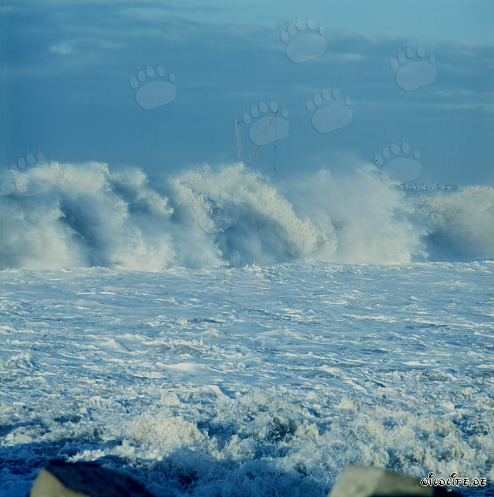 Mächtige Brecher am North Breakwater in Richards Bay