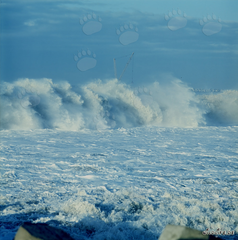 Poderosas olas en el North Breakwater de Richards Bay