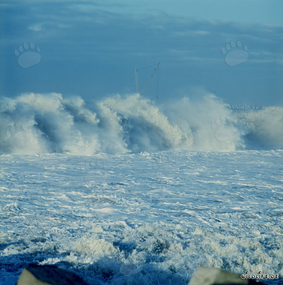 Potenti frangenti al North Breakwater di Richards Bay