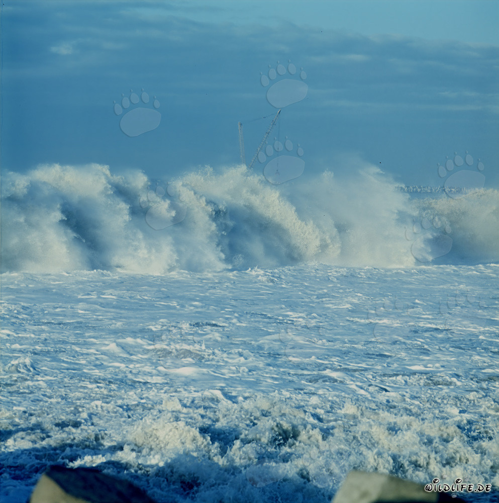 Powerful Breakers on North Breakwater in Richards Bay