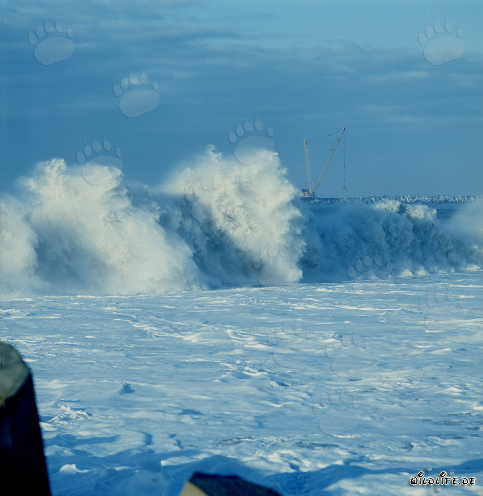 Stormy sea at North Breakwater of Richards Bay