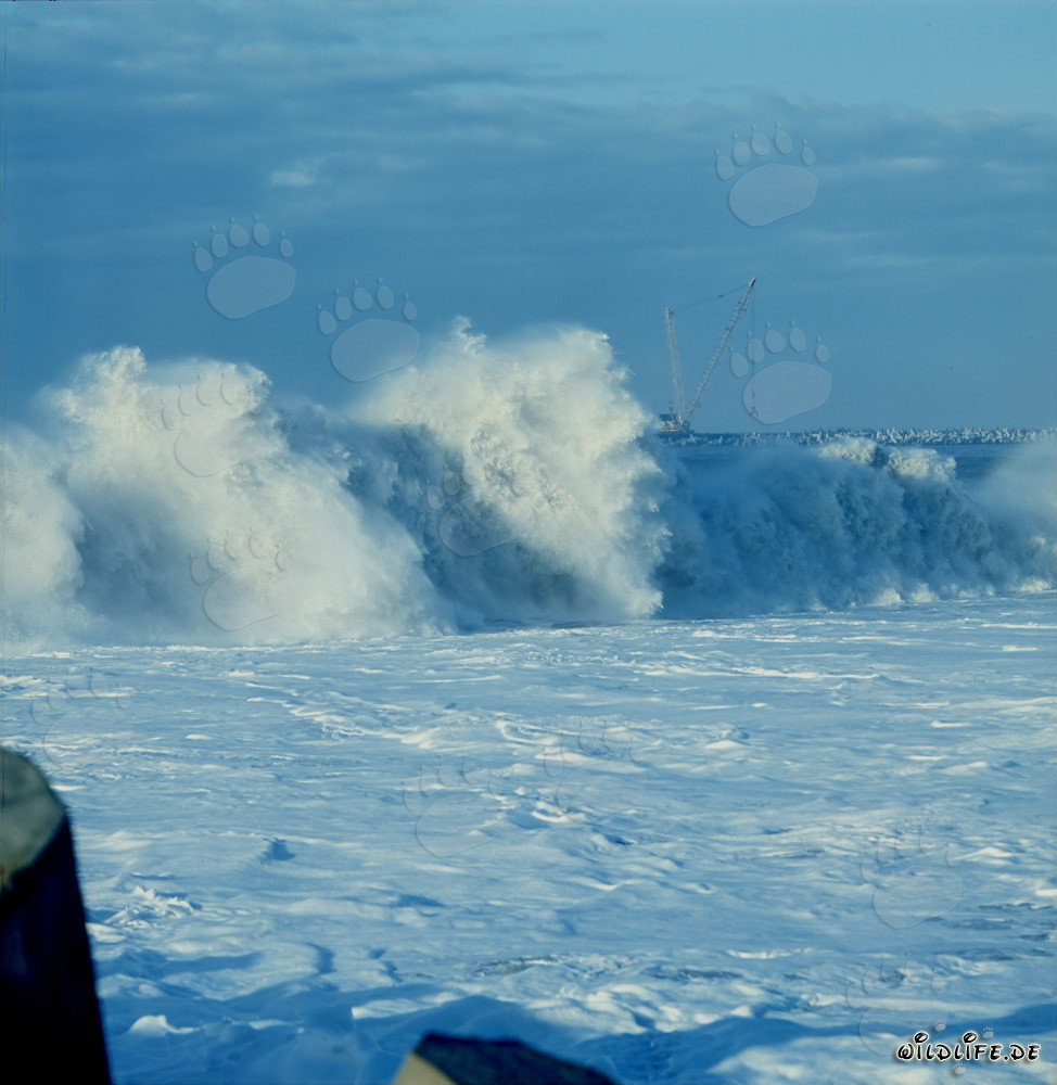 Stürmische See am North Breakwater von Richards Bay