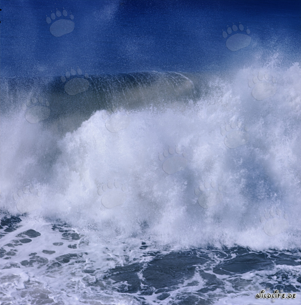 Massive breakers on North Breakwater in Richards Bay