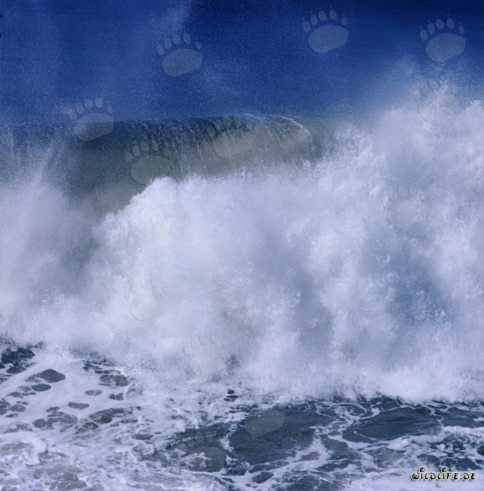 Gewaltige Brecher am North Breakwater in Richards Bay