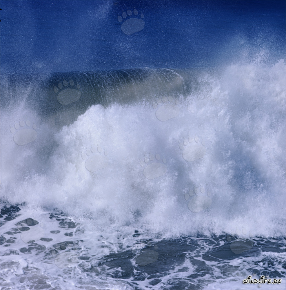 Enormes olas en el rompeolas norte de Richards Bay