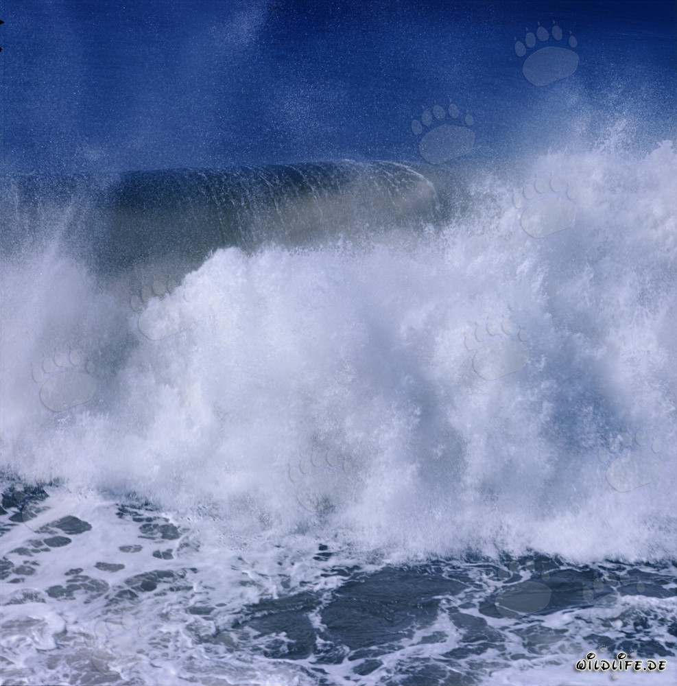 Énormes vagues au North Breakwater à Richards Bay