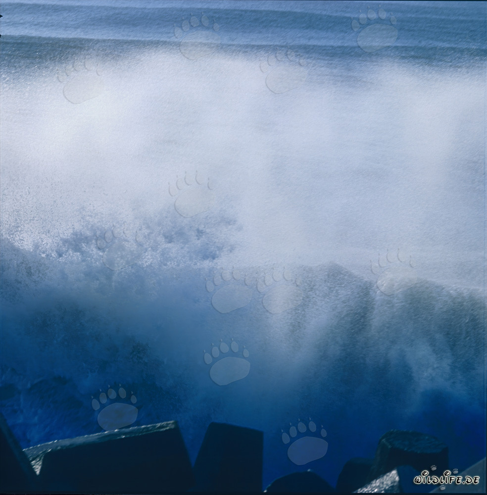 Mar agitado en el North Breakwater en Richards Bay, Natal, Sudáfrica