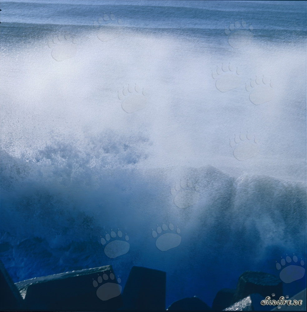 Mare agitato al North Breakwater a Richards Bay, Natal, Sudafrica