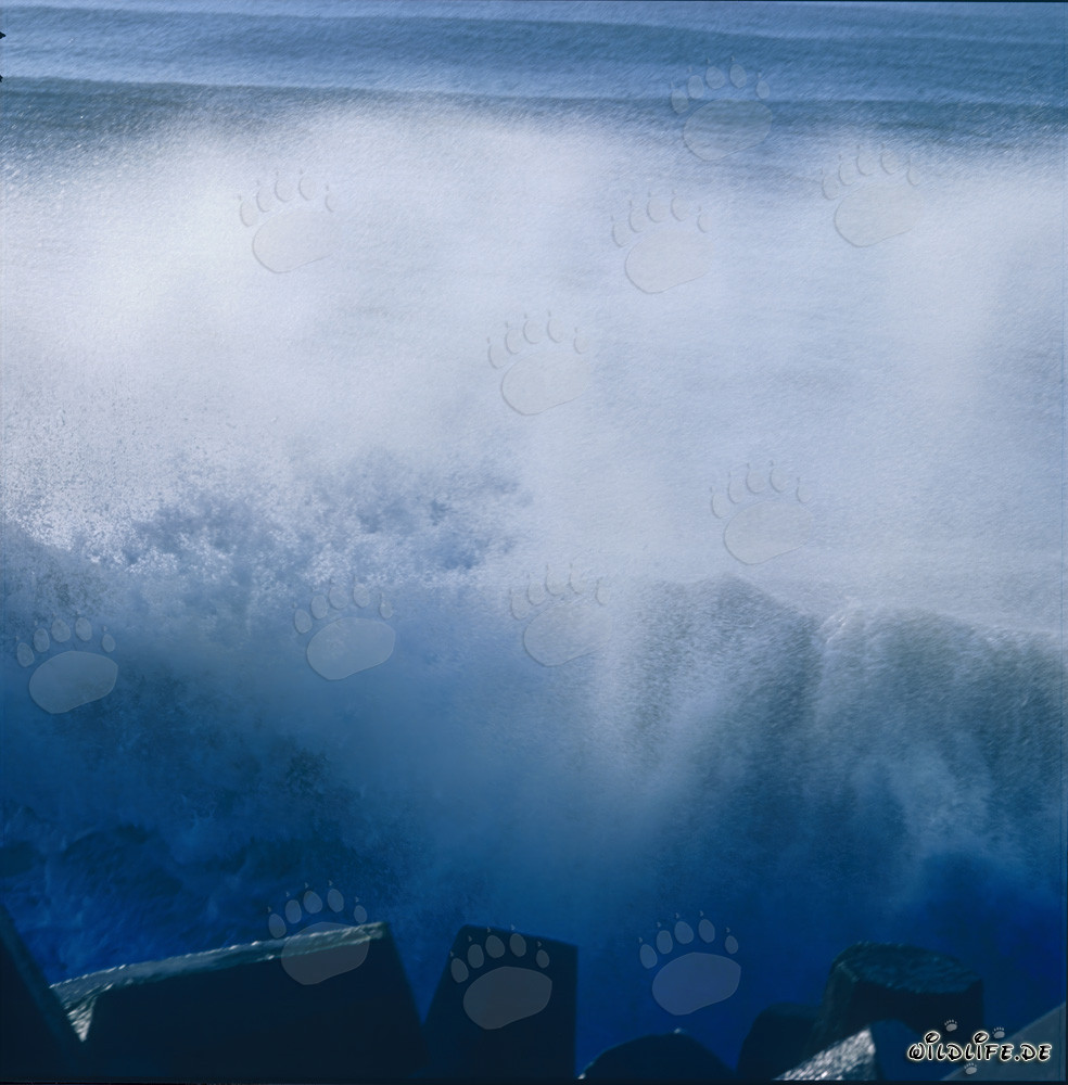 Mer agitée au North Breakwater à Richards Bay, Natal, Afrique du Sud