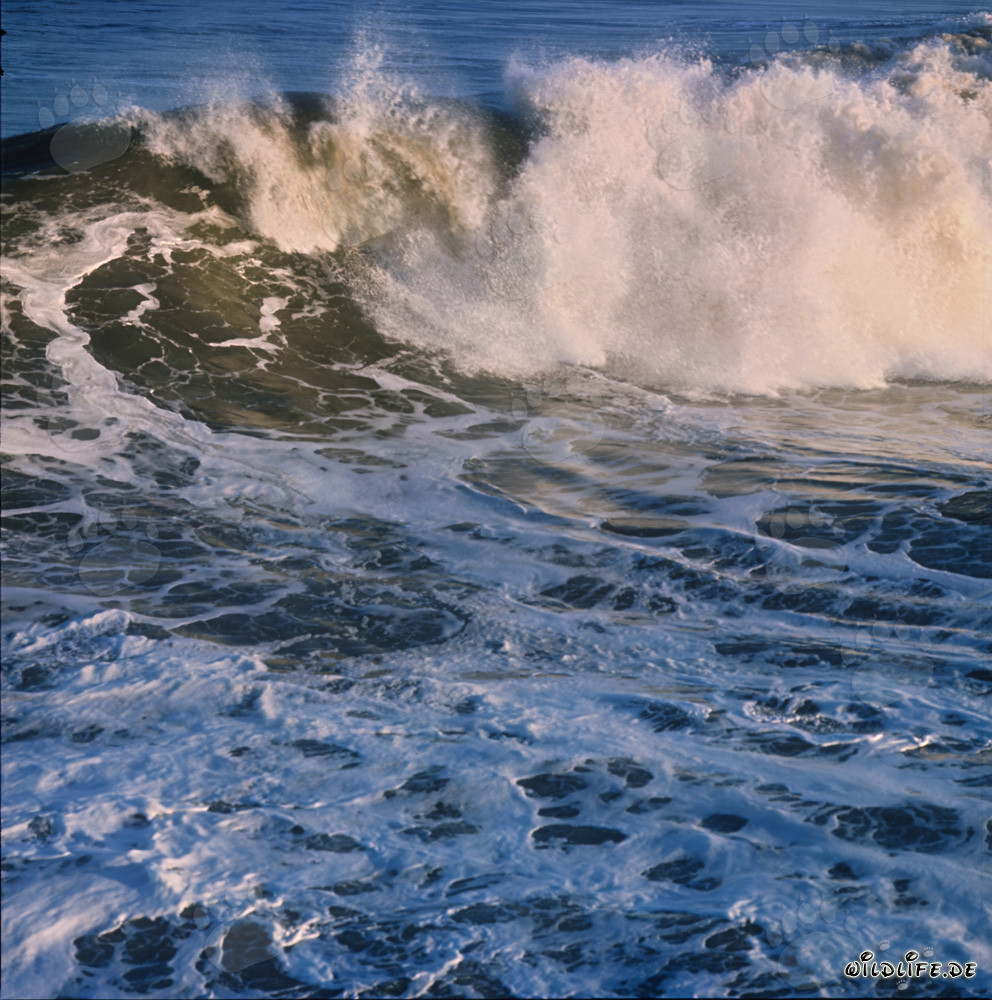 Bedrohliche Brandung an der North Breakwater