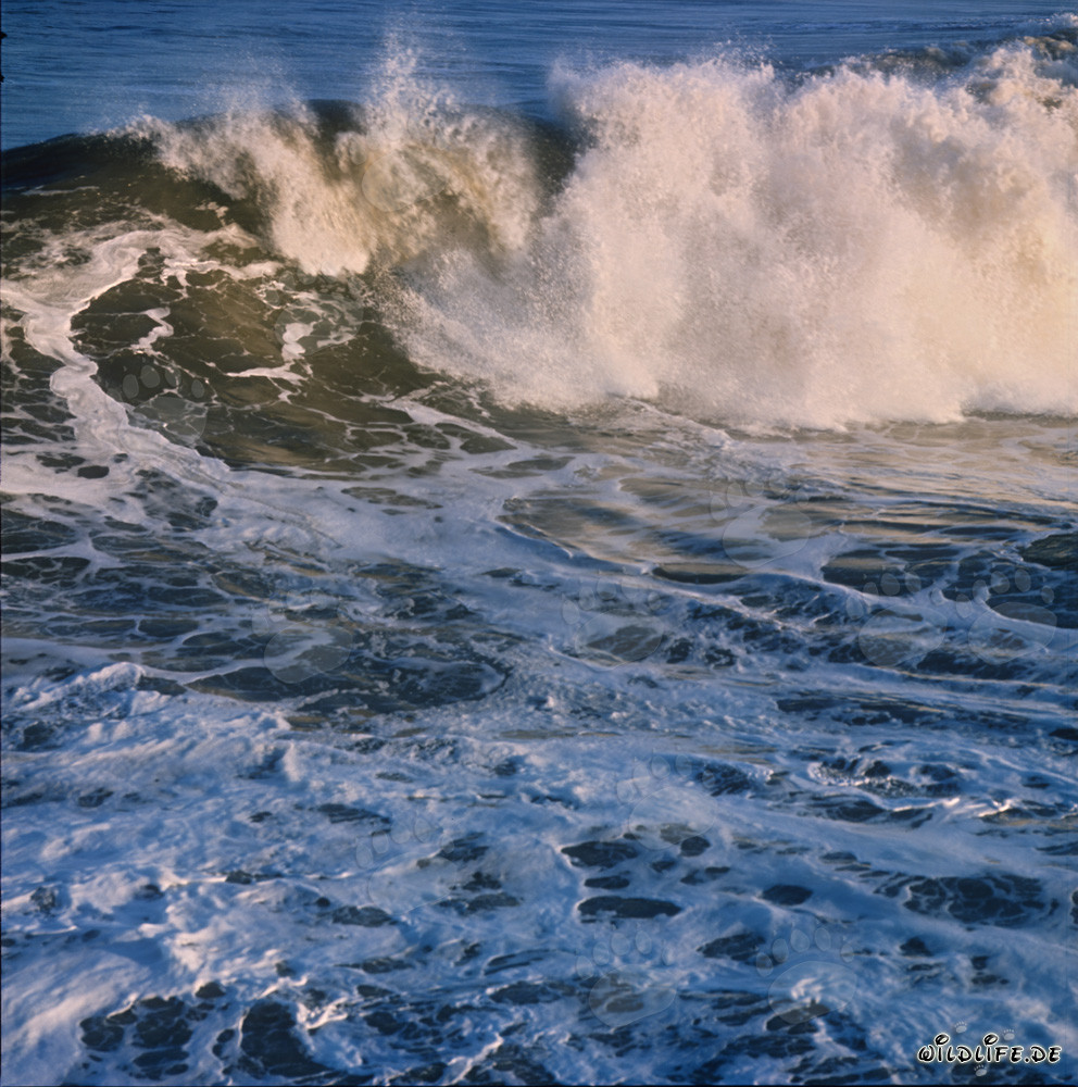 Oleaje amenazador en el North Breakwater
