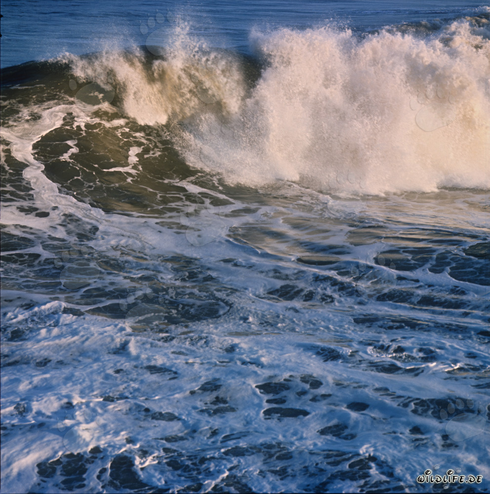 Onde minacciose al North Breakwater