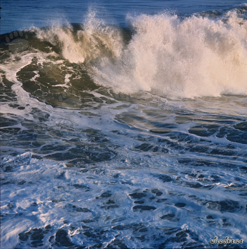 Threatening Surf at the North Breakwater