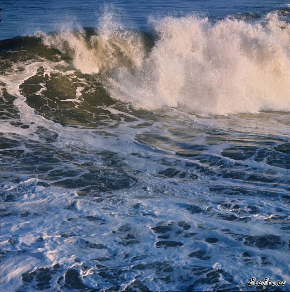 Vagues menaçantes au North Breakwater