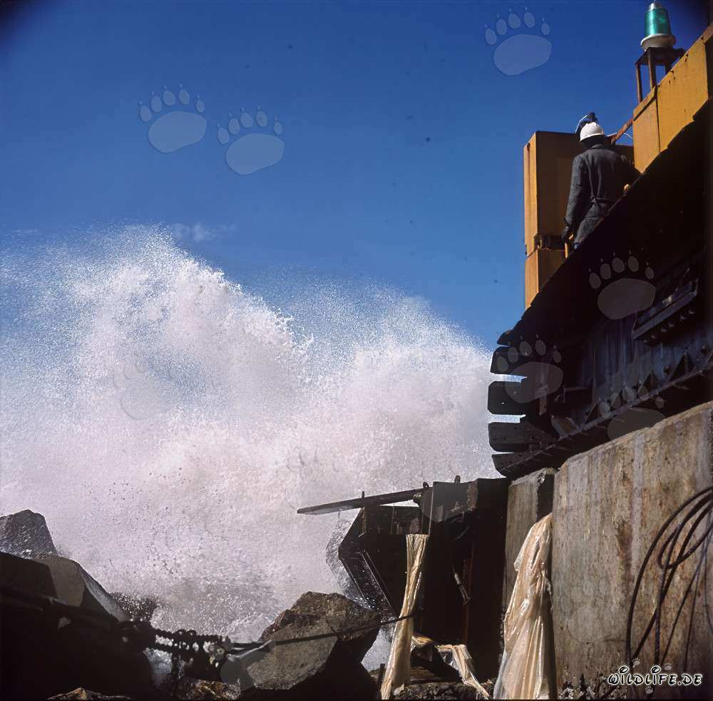 Manitowoc 4600 bei starkem Seegang in Richards Bay, Südafrika