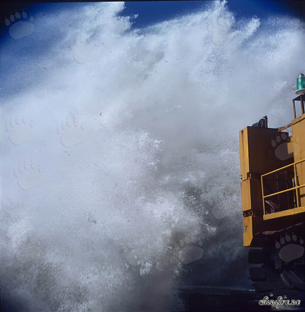 Gefährlicher Seegang am North Breakwaters in Richards Bay