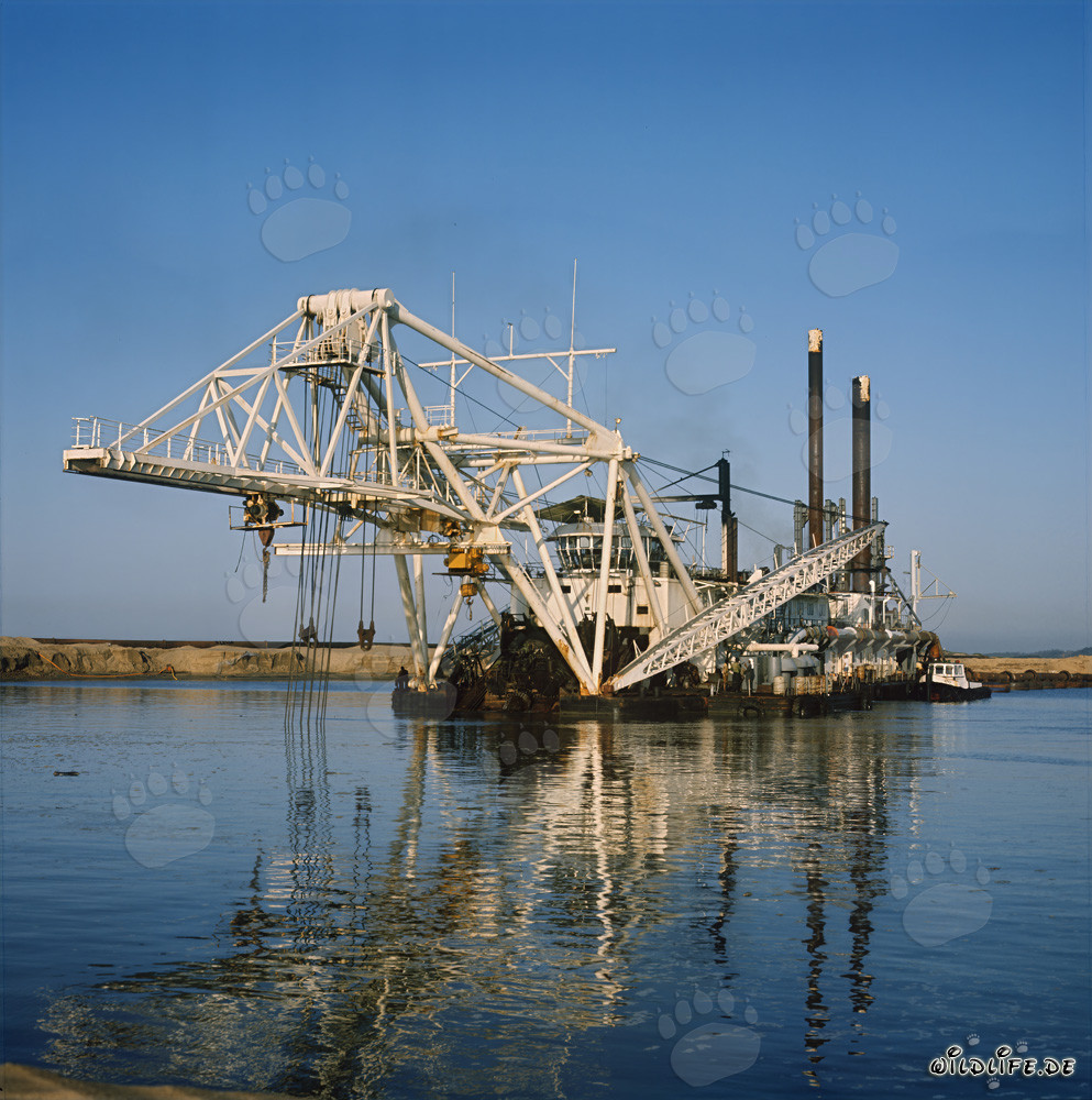 Cutter Suction Dredger Beverwijk 31 at Richards Bay Harbour