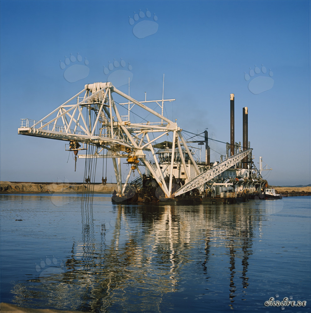 Draga de succión con cabezal cortador Beverwijk 31 en el puerto de Richards Bay