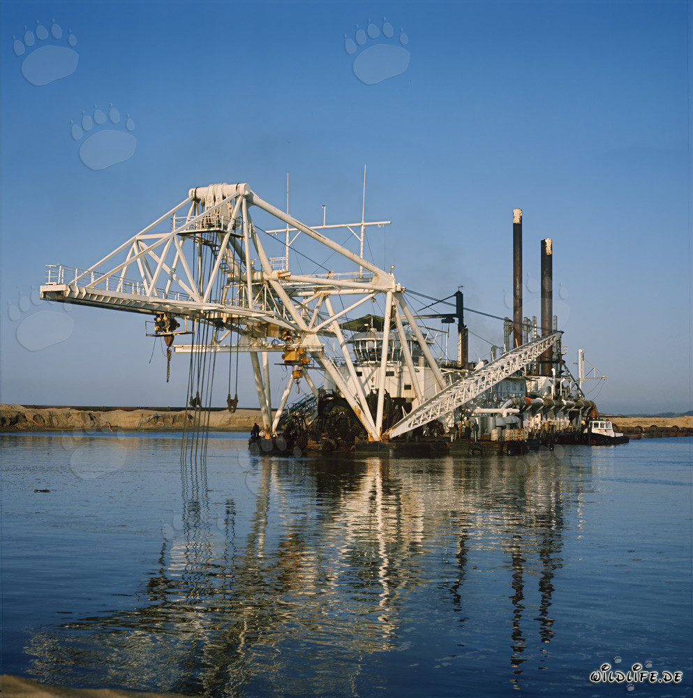 Draga a taglio Beverwijk 31 nel porto di Richards Bay