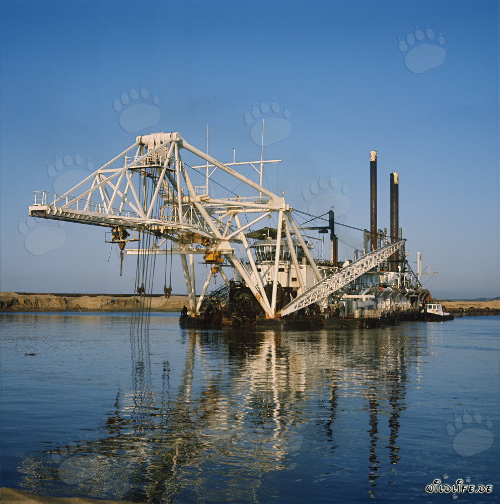 Drague suceuse à tête de coupe Beverwijk 31 dans le port de Richards Bay