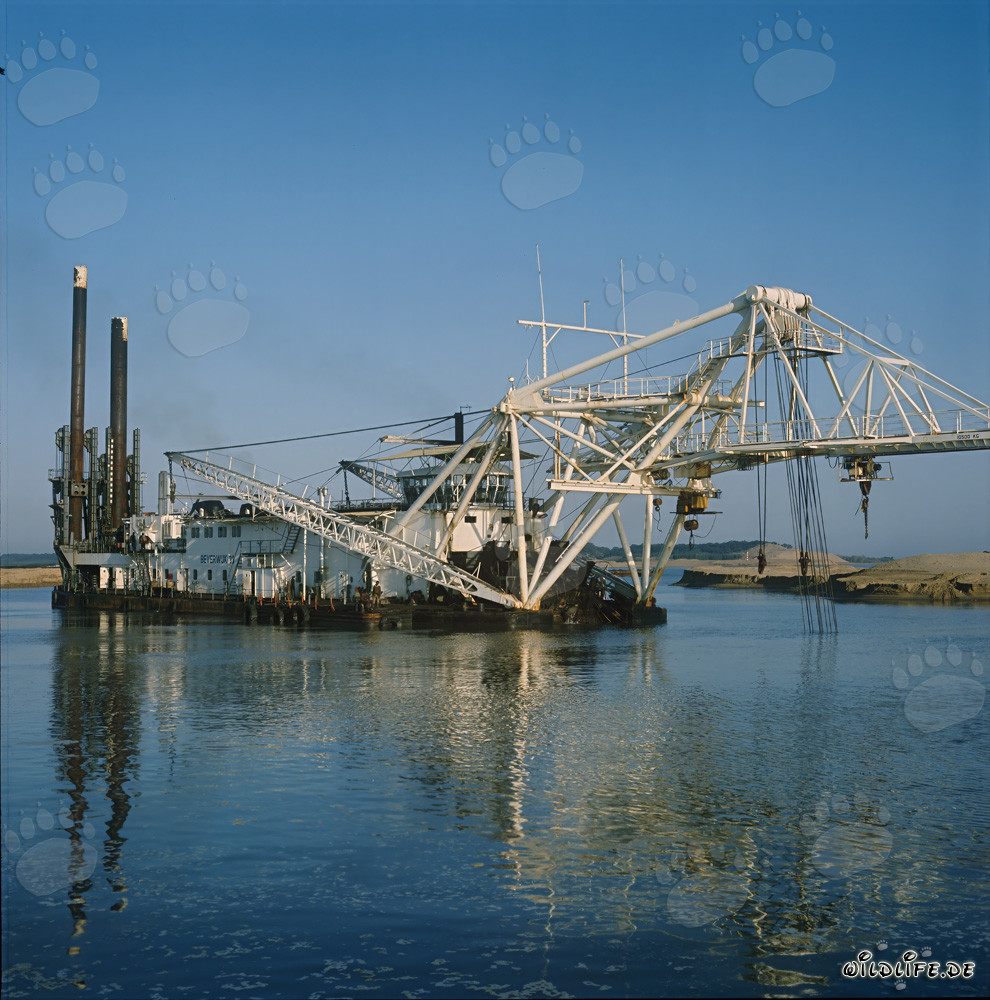 La drague suceuse à tête de coupe Beverwijk 31 se reflète dans l'eau claire du port de Richards Bay en Afrique du Sud