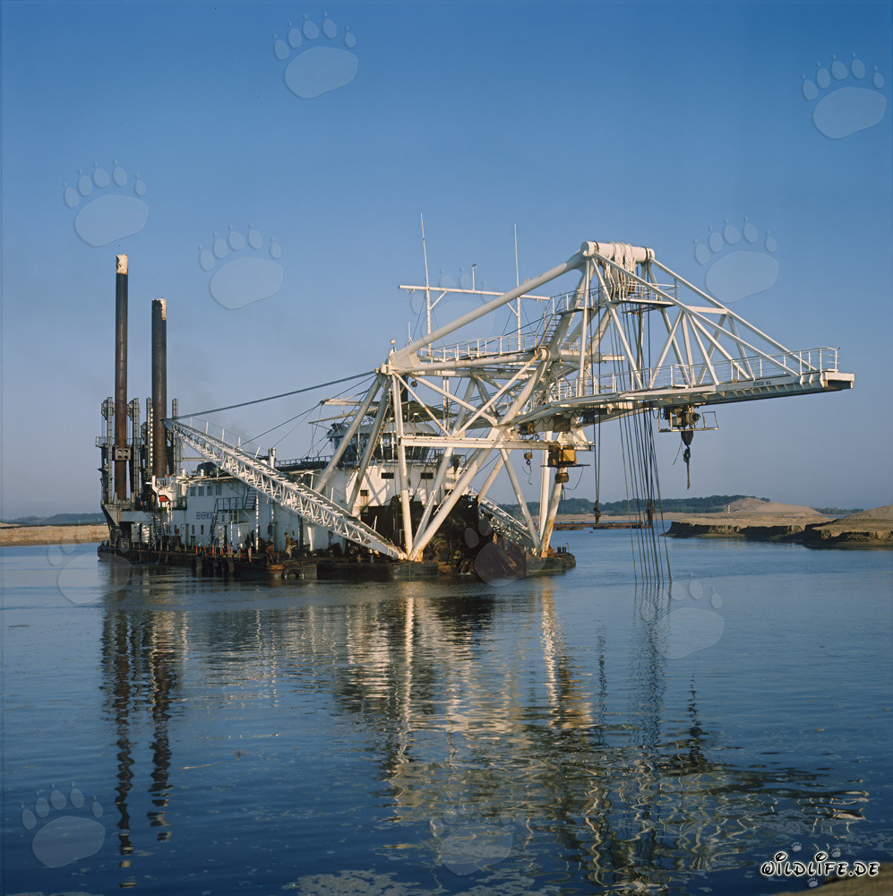 Pelle hydraulique à tête de coupe Beverwijk 31 au port de Richards Bay, Afrique du Sud