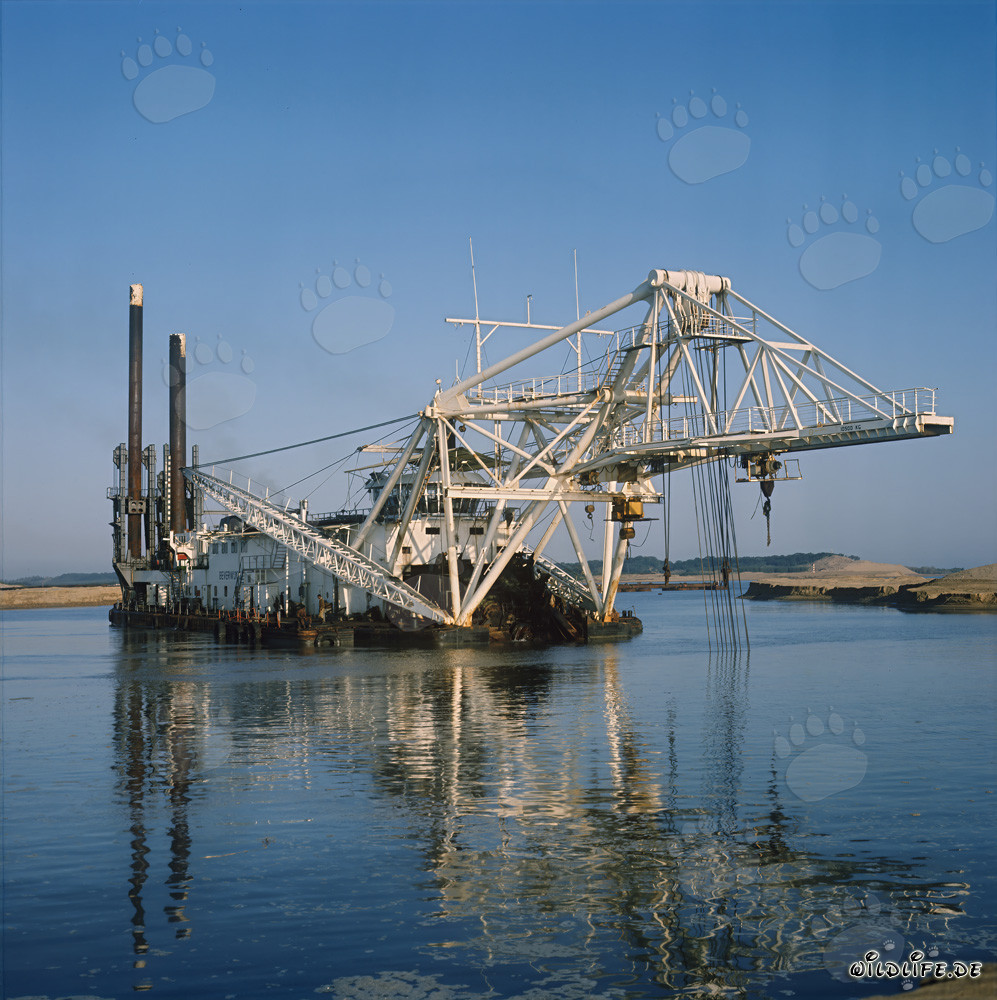 Schneidkopfspülbagger Beverwijk 31 in Richards Bay Hafen, Südafrika