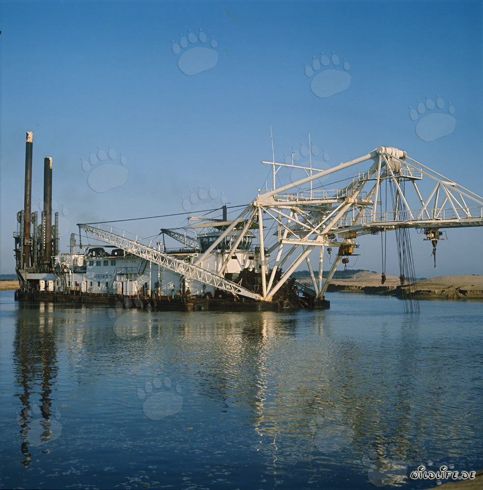 Draga tagliatrice Beverwijk 31 nel porto di Richards Bay, Sudafrica