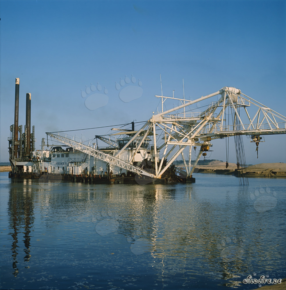 Drague suceuse à tête de coupe Beverwijk 31 dans le port de Richards Bay, Afrique du Sud