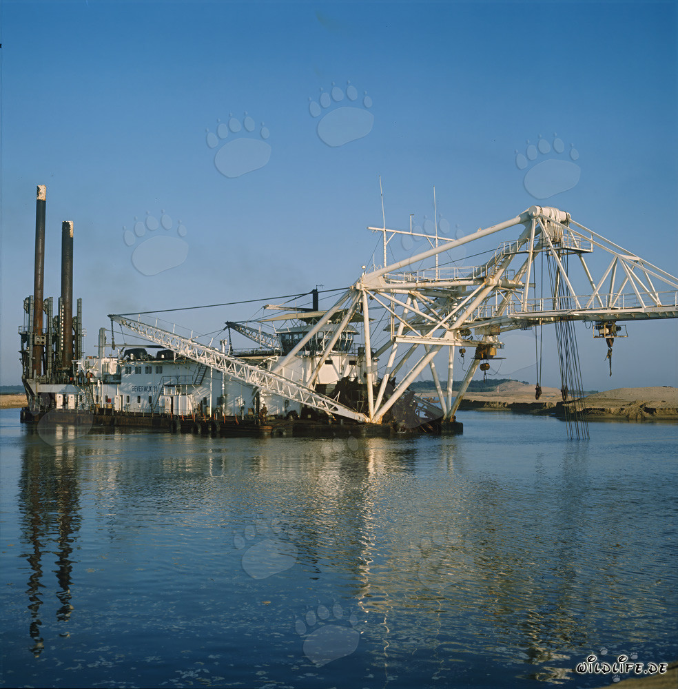 Schneidkopfspuelbagger Beverwijk 31 im Hafen Richards Bay, Südafrika