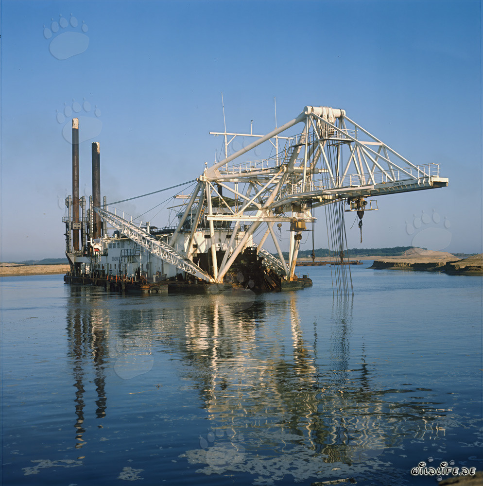 Draga a testa di taglio Beverwijk 31 nel porto di Richards Bay, Natal, Sudafrica
