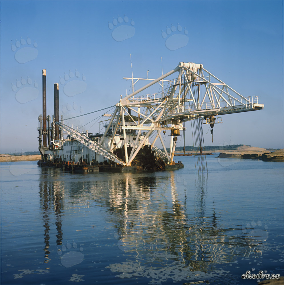 Draga de cabezal de corte Beverwijk 31 en el puerto de Richards Bay, Natal, Sudáfrica