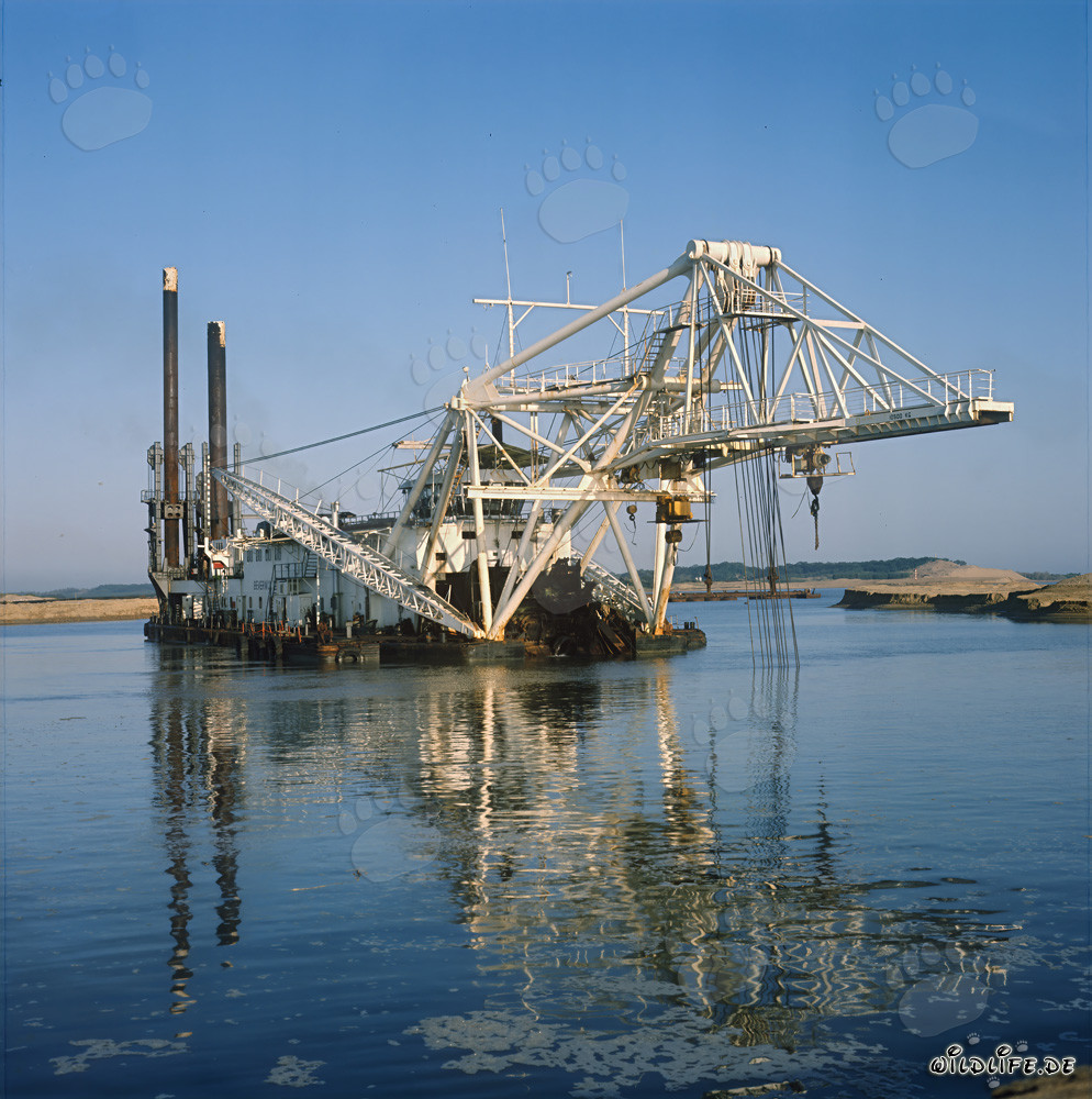 Drague hydraulique Beverwijk 31 dans le port de Richards Bay, Natal, Afrique du Sud