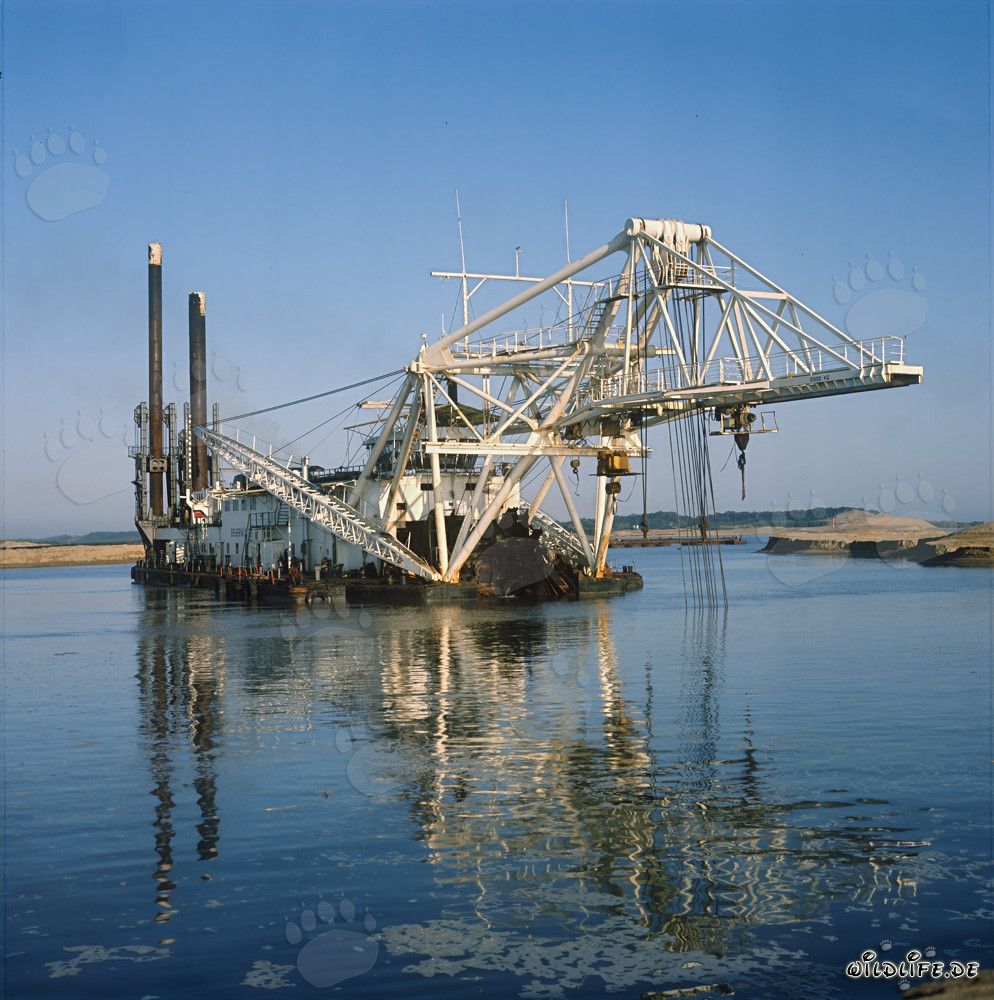 Schneidkopfspuelbagger Beverwijk 31 in Richards Bay Hafen, Natal, Südafrika