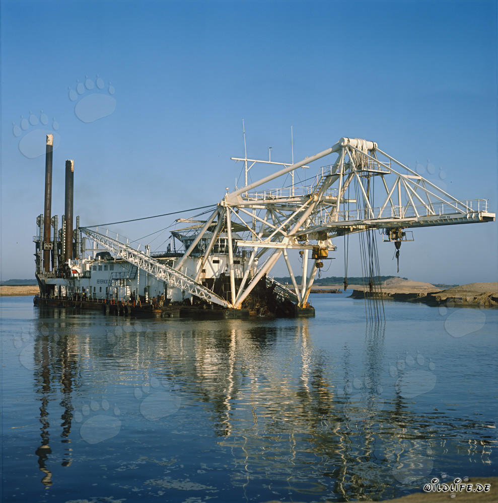 Cutter Suction Dredger Beverwijk 31 in Richards Bay Harbor, Natal, South Africa