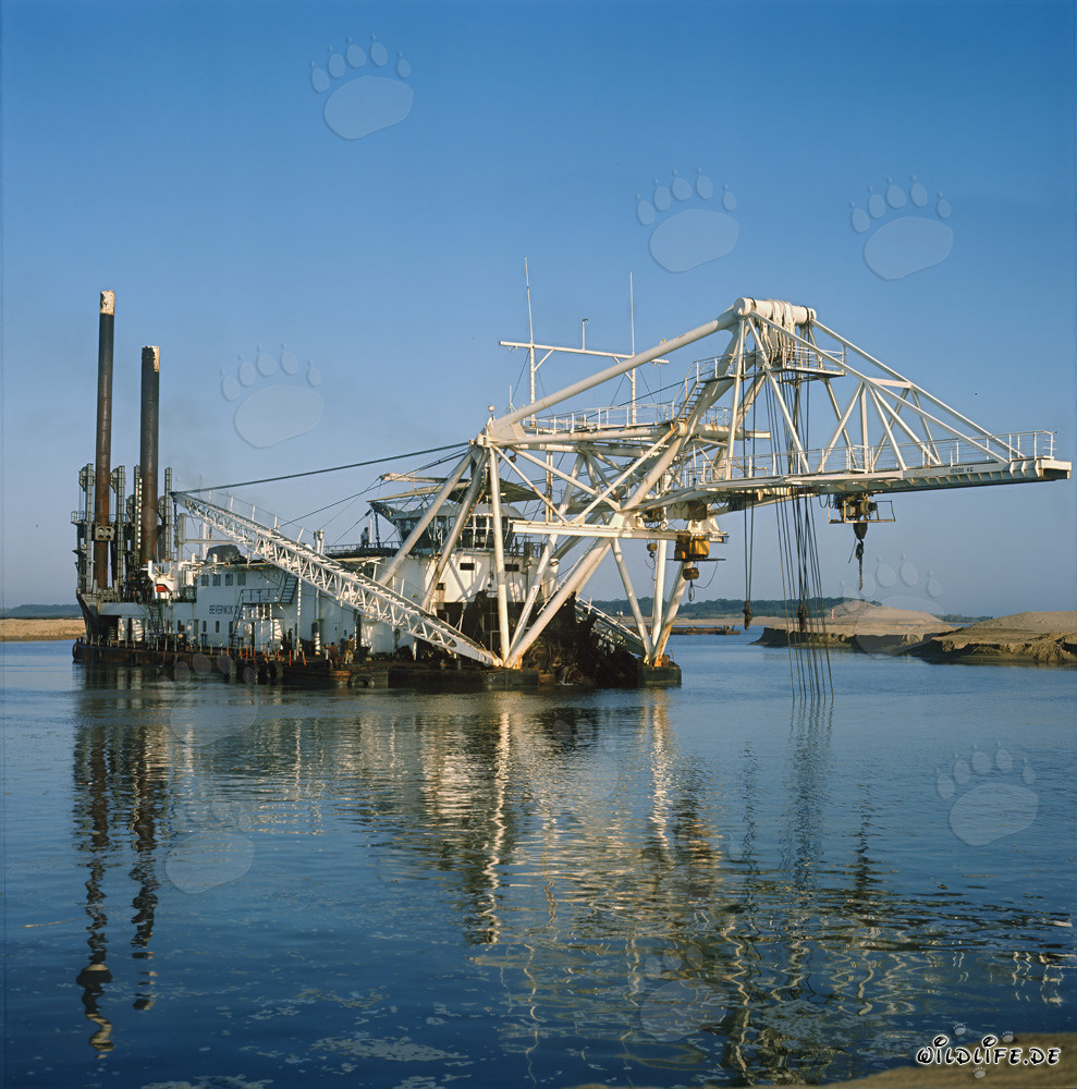 Draga de succión con cabezal de corte Beverwijk 31 en el puerto de Richards Bay, Natal, Sudáfrica