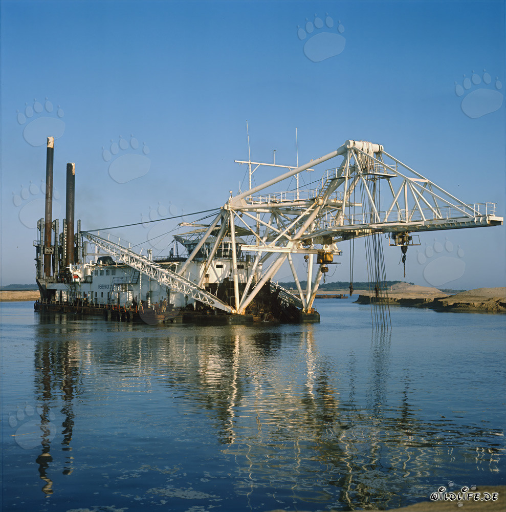 Drague suceuse à tête de coupe Beverwijk 31 dans le port de Richards Bay, Natal, Afrique du Sud