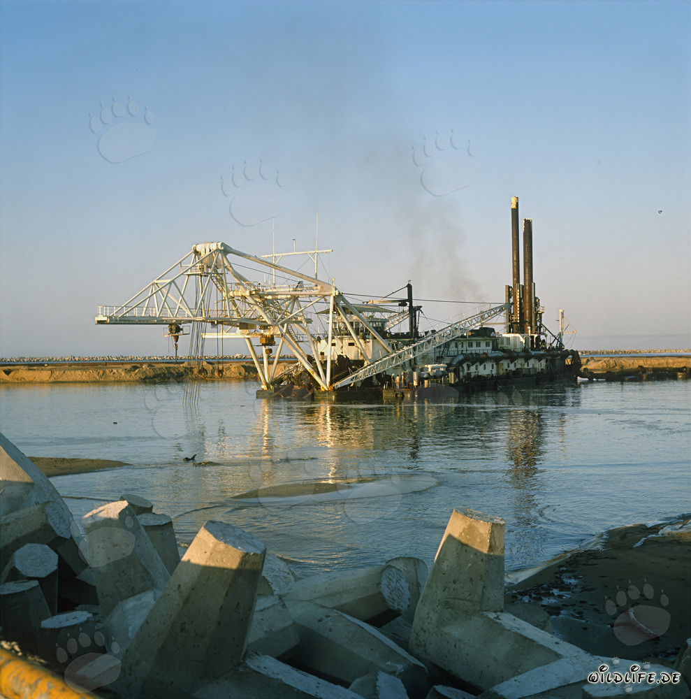 Cutter Suction Dredger Beverwijk 31 Performing Dredging Works in Richards Bay Harbor, South Africa