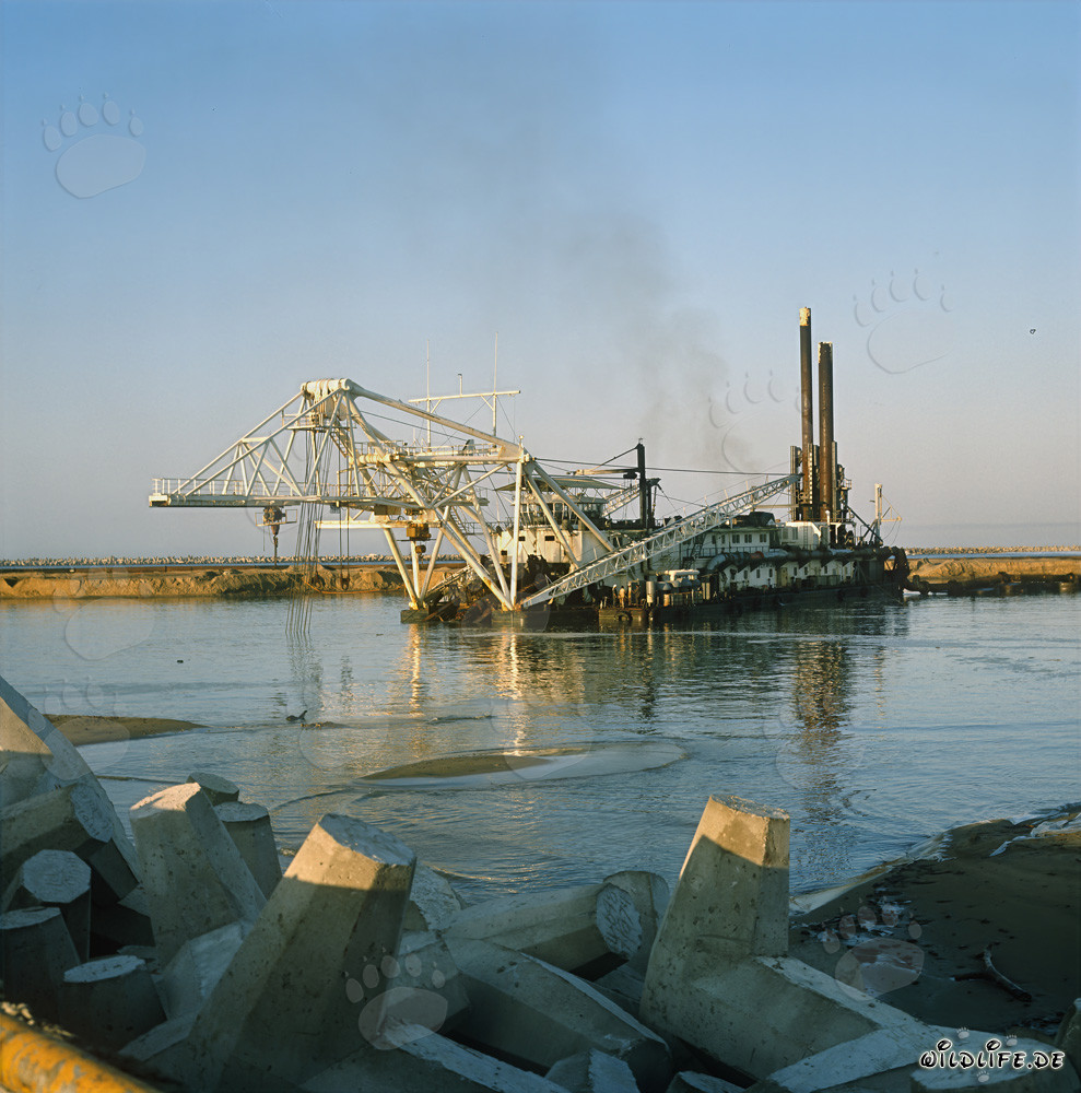 Draga de succión con cabezal de corte Beverwijk 31 durante trabajos de dragado en húmedo en el puerto de Richards Bay, Sudáfrica