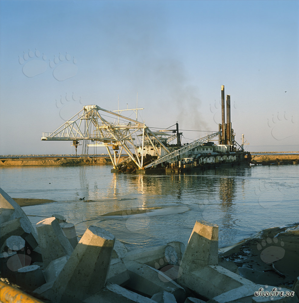 Drague suceuse à tête de coupe Beverwijk 31 lors de travaux de dragage humide dans le port de Richards Bay, Afrique du Sud