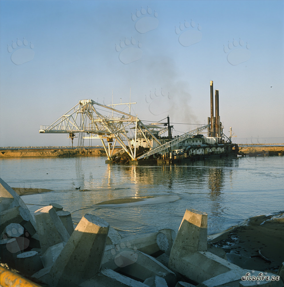 Schneidkopfspülbagger Beverwijk 31 bei Naßbaggerarbeiten im Hafen Richards Bay, Südafrika