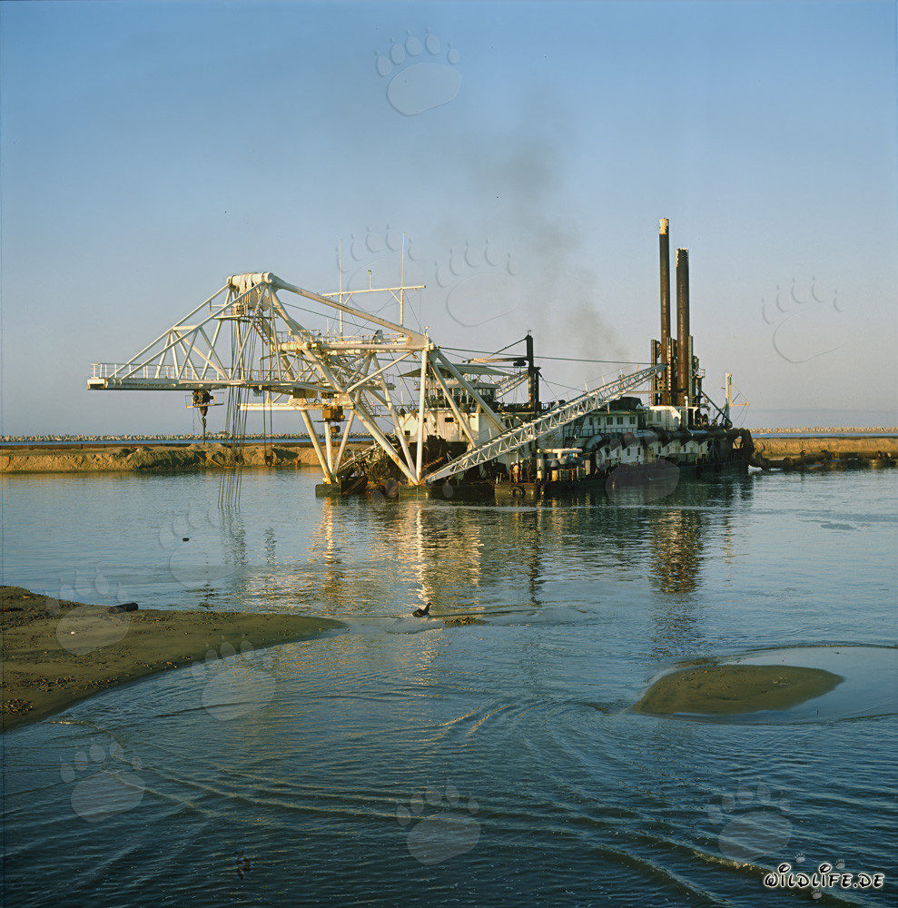 Impresionante draga de succión de cabeza de corte Beverwijk 31 en el puerto de Richards Bay