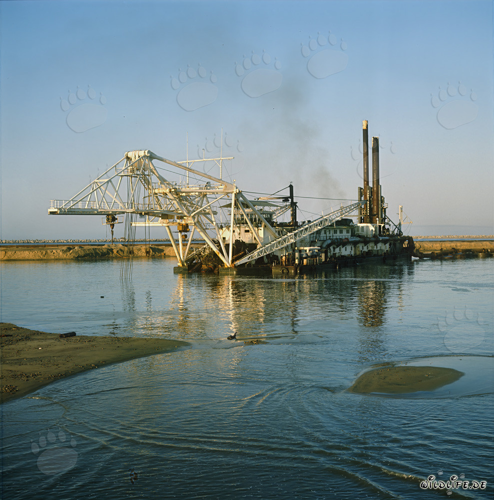 Beeindruckender Schneidkopfspuelbagger Beverwijk 31 im Hafen Richards Bay