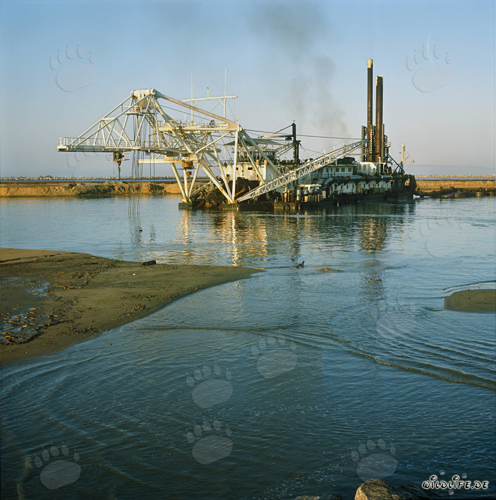 Majestic Cutter Suction Dredger Beverwijk 31 in Richards Bay Harbour