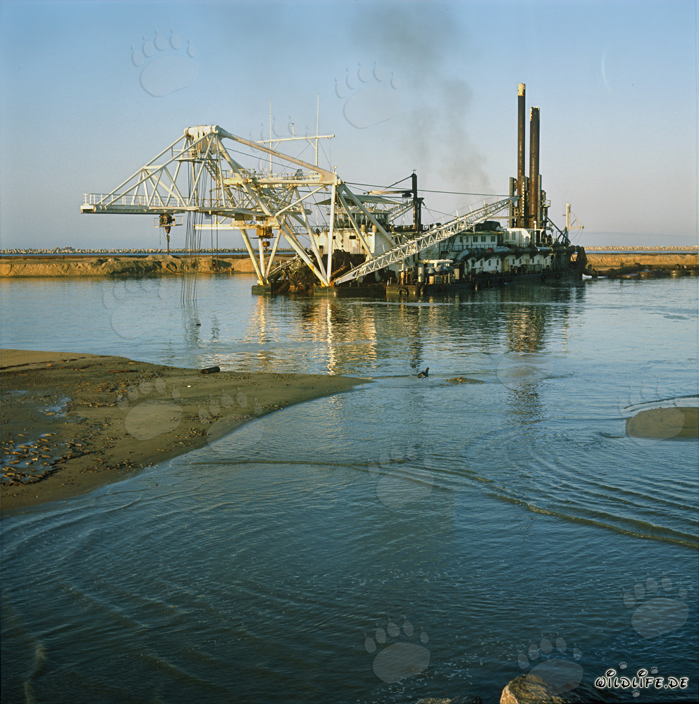 Majestuoso draga de cabeza de corte Beverwijk 31 en el puerto de Richards Bay