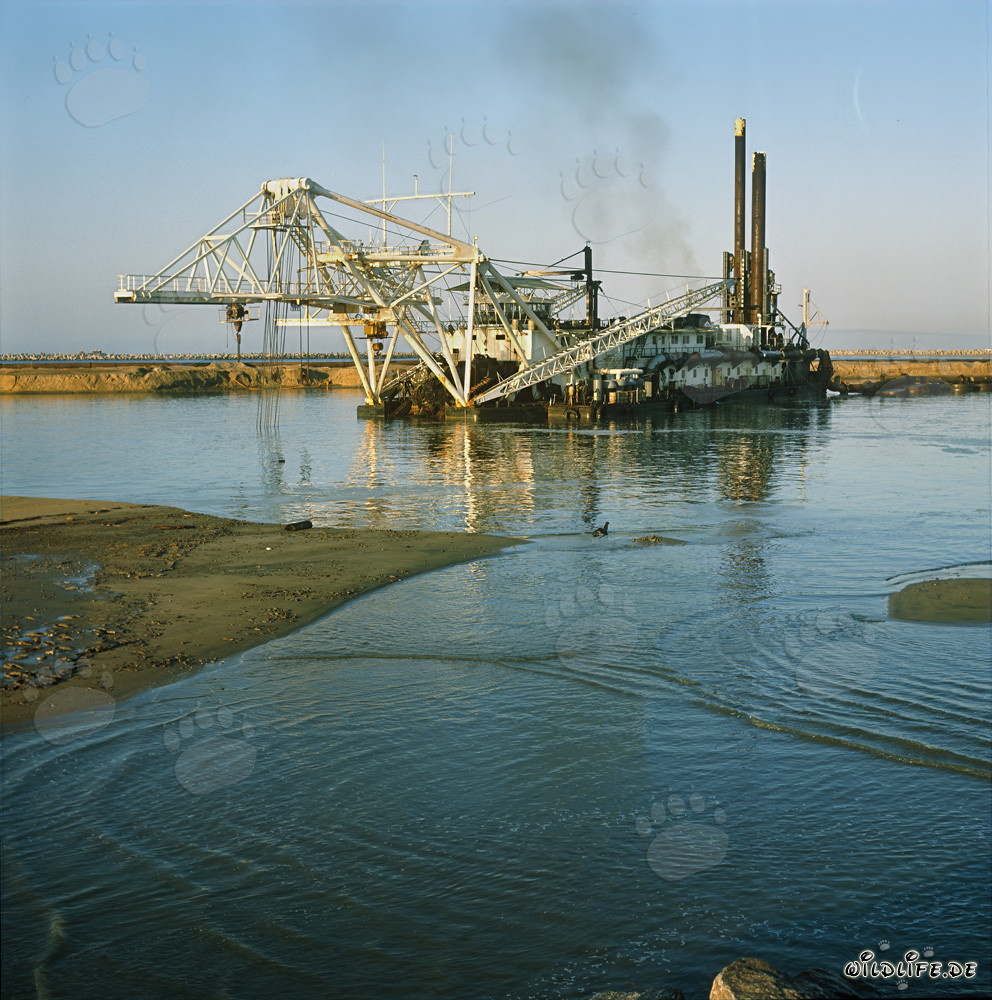 Dragueur de tête de coupe majestueux Beverwijk 31 dans le port de Richards Bay