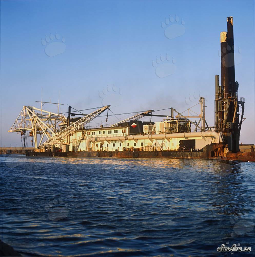 Cutter Suction Dredger Beverwijk 31 in Richards Bay Harbour, South Africa